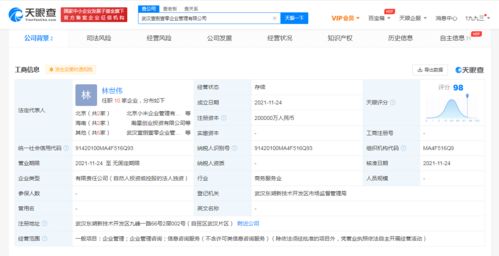 注冊(cè)資本20億元！小米在武漢成立企業(yè)管理公司，赤壁企業(yè)網(wǎng)站建設(shè)迎來新啟示