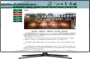 奉賢企業(yè)數(shù)字化轉(zhuǎn)型全攻略 從網(wǎng)站建設(shè)到通訊服務(wù)一站式解決方案