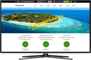 青浦網(wǎng)站建設(shè)一站式服務(wù) 助力上海企業(yè)打造專(zhuān)業(yè)線(xiàn)上門(mén)戶(hù)